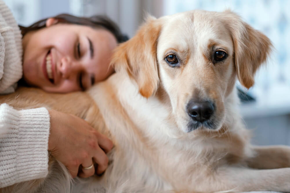 animais de estimação na venda da casa